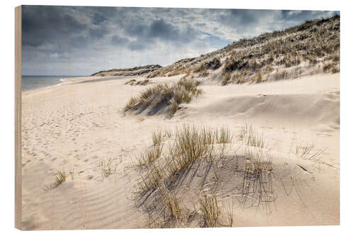 Trebilde Winter on Sylt, dune landscape in the Ellenbogen nature reserve