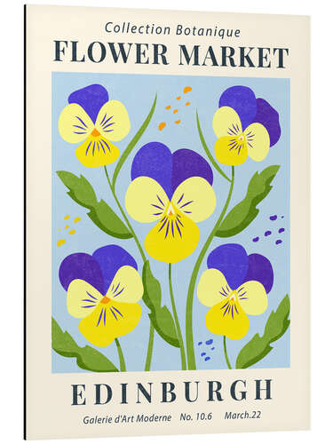 Alubild Flower Market Edinburgh Pansies