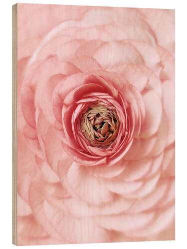 Wood print Pink Buttercup Portrait