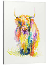 Tableau en aluminium Highland Cow