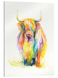 Gallery print Highland Cow