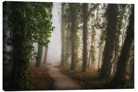 Canvas print Path through a beautiful Dutch forest