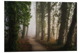 Foam board print Path through a beautiful Dutch forest