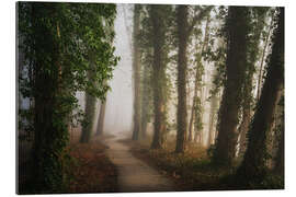 Tableau en plexi-alu Path through a beautiful Dutch forest