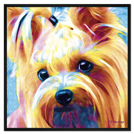 Gerahmter Kunstdruck Yorkshire Terrier