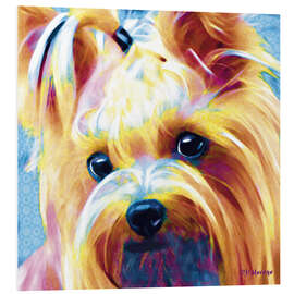 Print på skumplade Yorkshire Terrier