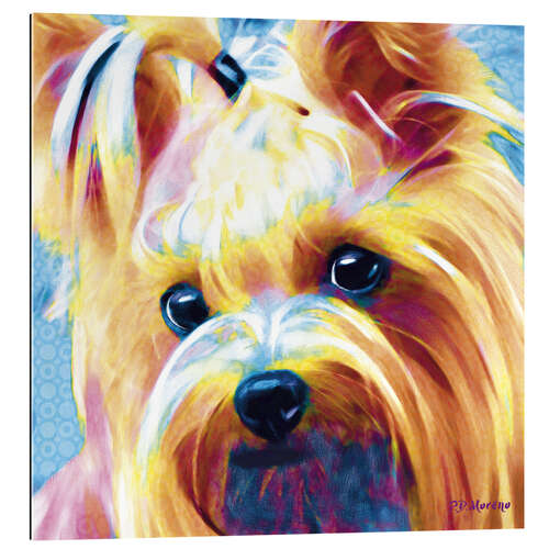 Gallery Print Yorkshire Terrier