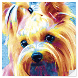 Vinilo para la pared Yorkshire Terrier