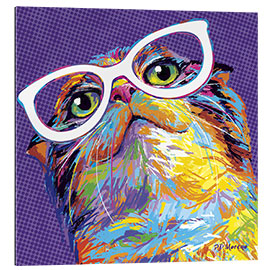 Quadro em plexi-alumínio Pop Art Cat