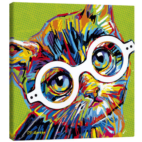 Canvas print Baby Cat