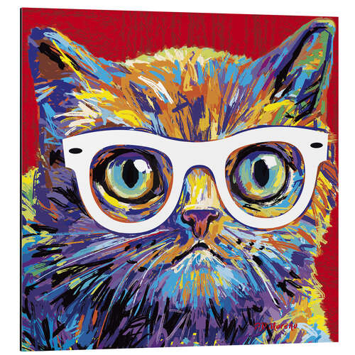 Alubild Katze mit Brille