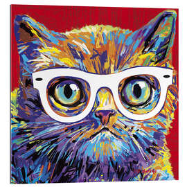 Tableau en plexi-alu Cat with glasses