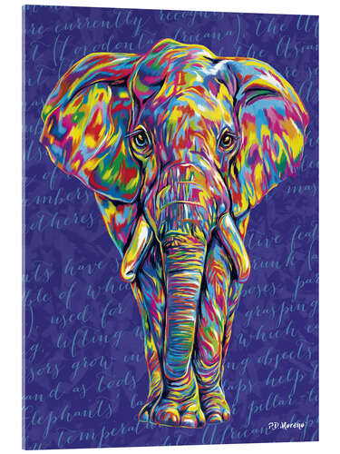 Acrylglasbild Pop Art Elefant
