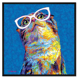 Gerahmter Kunstdruck Neugieriger Kater