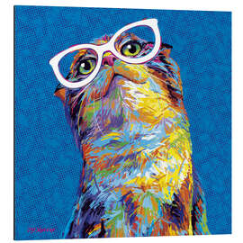 Magnettafel Neugieriger Kater