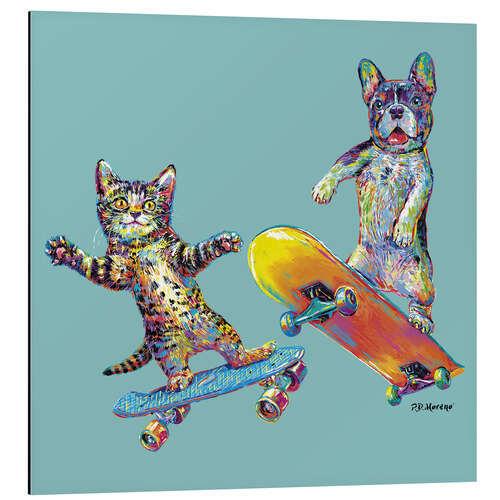 Aluminium print Skateboard Puppies