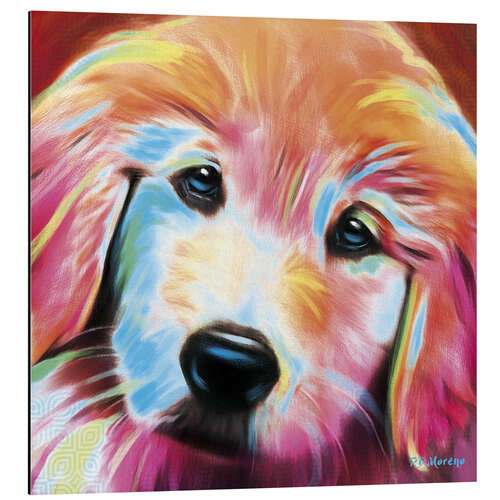 Tableau en aluminium Golden Retriever Puppy