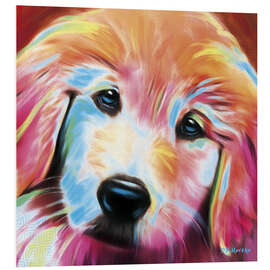 Cuadro de PVC Golden Retriever Puppy