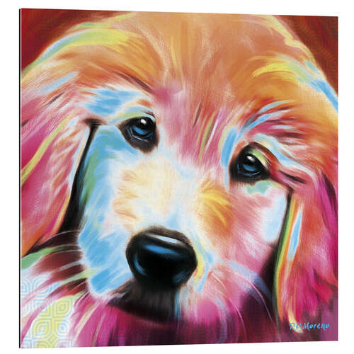 Gallery print Golden Retriever Puppy