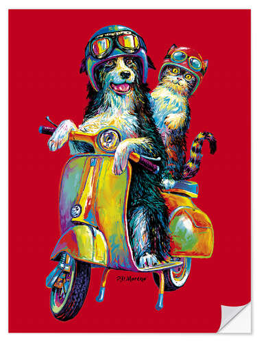 Självhäftande poster Dog & Cat on the Scooter