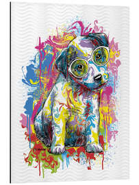 Aluminium print Jack Russel Puppy