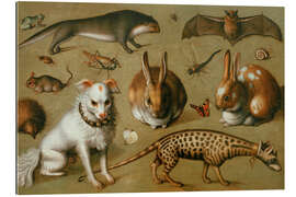 Gallery Print Tierbild mit Ginsterkatze, um 1560