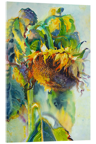 Acrylic print Sunflower