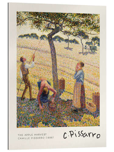 Gallery print The Apple Harvest