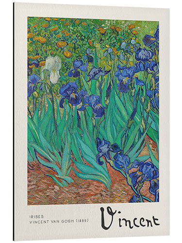 Aluminium print Irises