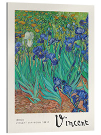 Gallery print Irises