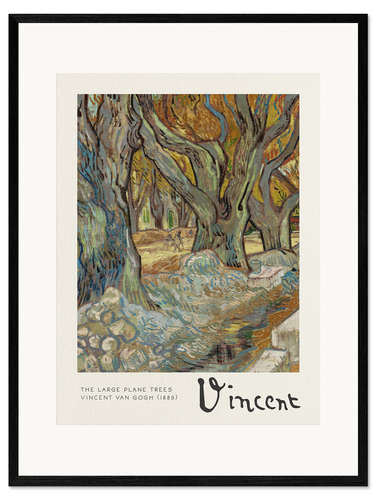 Framed art print The Large Plane Trees