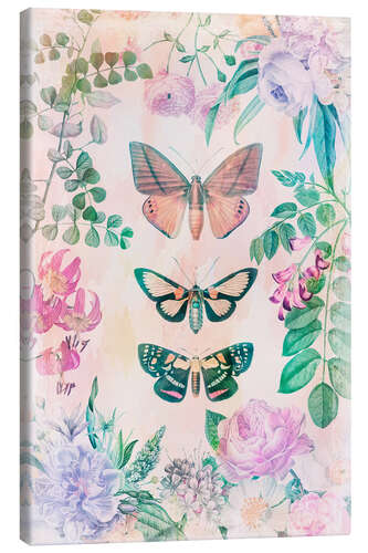 Canvas print Butterfly Romance