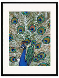 Gerahmter Kunstdruck Pfau