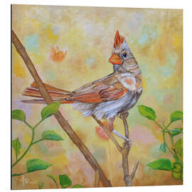 Tableau en aluminium Female Cardinal Portrait