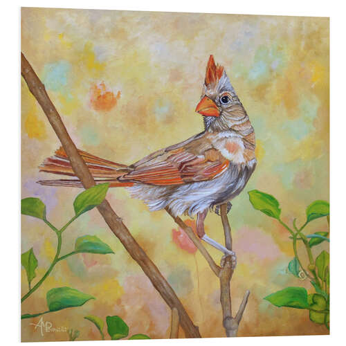 Tableau en PVC Female Cardinal Portrait