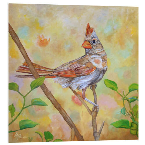 Tableau en plexi-alu Female Cardinal Portrait