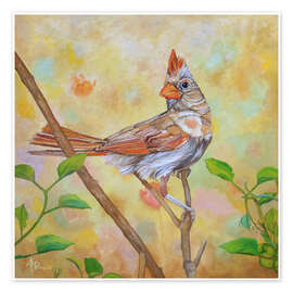 Poster Female Cardinal Portrait