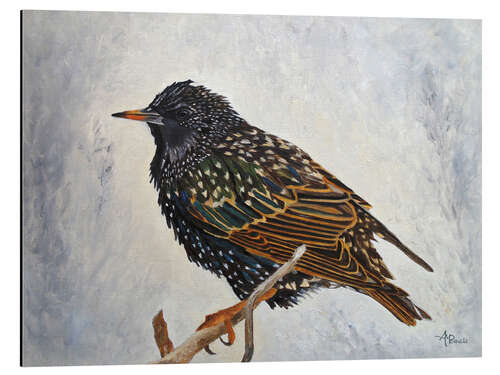 Cuadro de aluminio Wrapped up european Starling