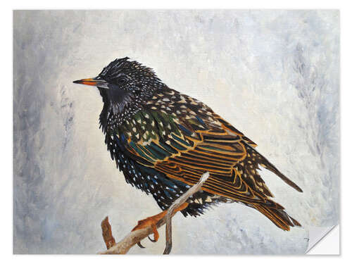 Selvklebende plakat Wrapped up european Starling