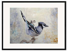 Impression artistique encadrée Attitude Derriere Blue Jay