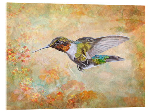 Acrylic print Hummingbird flying to the berries