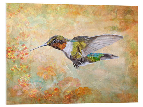 Foam board print Hummingbird flying to the berries