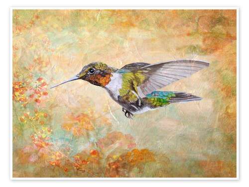 Poster Hummingbird flying to the berries