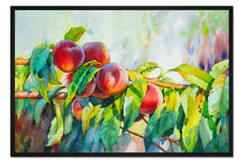 Gerahmter Kunstdruck Pfirsiche auf einem Ast