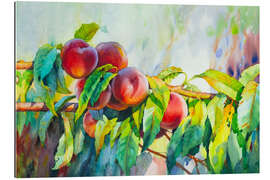 Gallery print Peaches on a branch