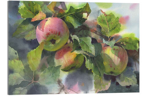 Tableau en plexi-alu Apples on a branch