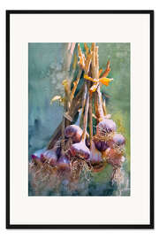 Gerahmter Kunstdruck Knoblauch Aquarell