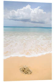 Akryylilasitaulu Beach in the Seychelles