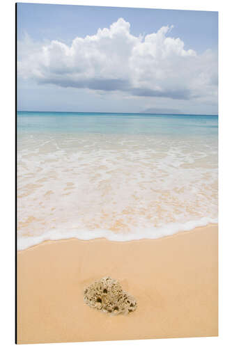 Aluminium print Beach in the Seychelles