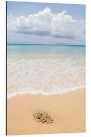 Aluminium print Beach in the Seychelles